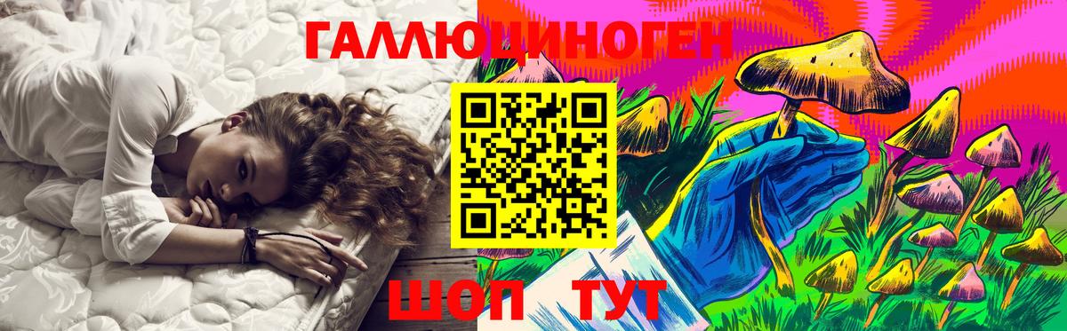 Новозыбков  Псилоцибиновые грибы мицелий  Галлюциногенные грибы Psilocybe  Вход с VPN 