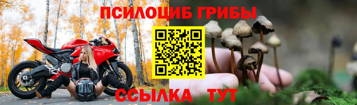 Галлюциногенные грибы GOLDEN TEACHER Новозыбков